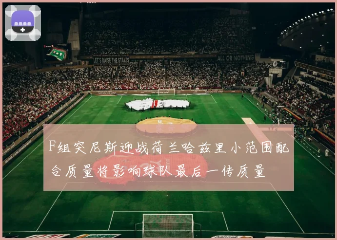 F组突尼斯迎战荷兰哈兹里小范围配合质量将影响球队最后一传质量