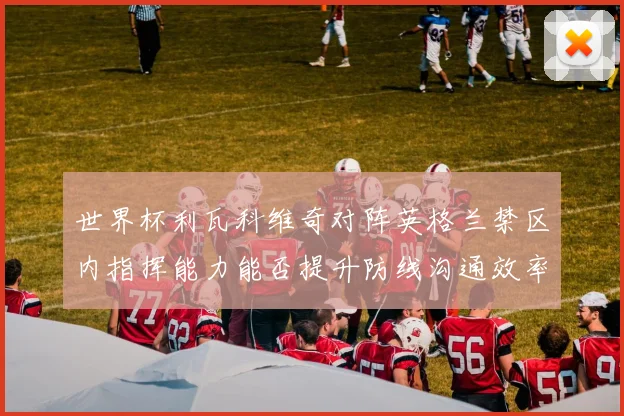 世界杯利瓦科维奇对阵英格兰禁区内指挥能力能否提升防线沟通效率