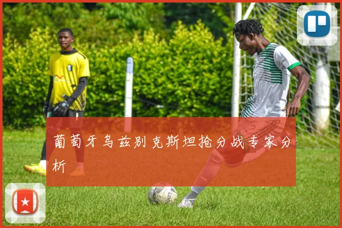 葡萄牙乌兹别克斯坦抢分战专家分析