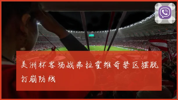 美洲杯客场战弗拉霍维奇禁区摆脱打崩防线