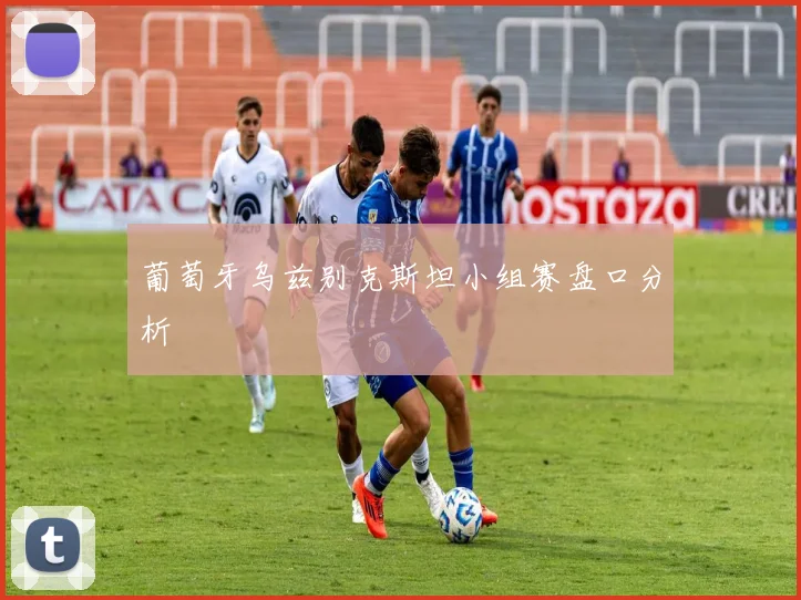 葡萄牙乌兹别克斯坦小组赛盘口分析