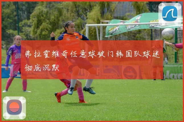 弗拉霍维奇任意球破门韩国队球迷彻底沉默