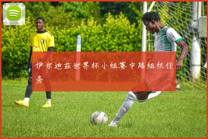 伊尔迪兹世界杯小组赛中路组织任务