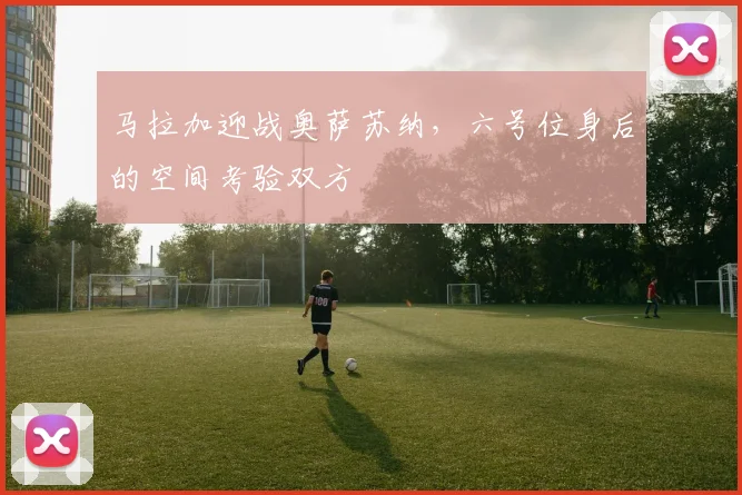马拉加迎战奥萨苏纳，六号位身后的空间考验双方