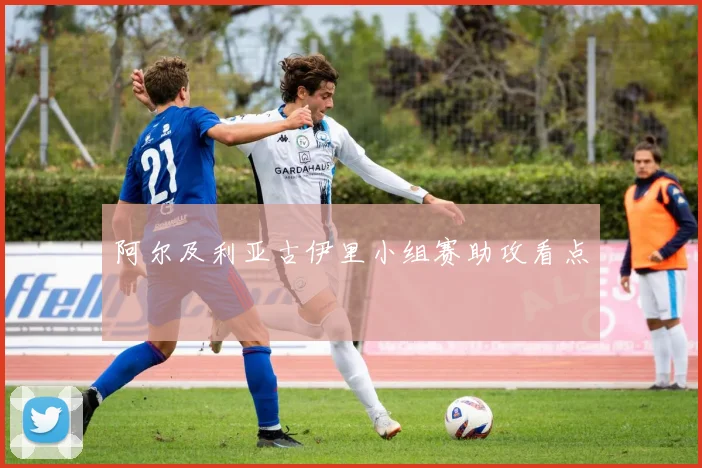 阿尔及利亚古伊里小组赛助攻看点
