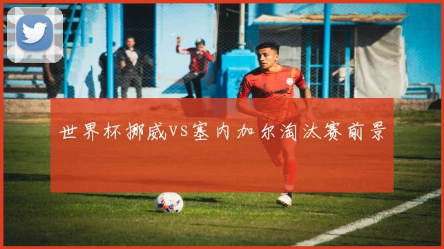 世界杯挪威vs塞内加尔淘汰赛前景