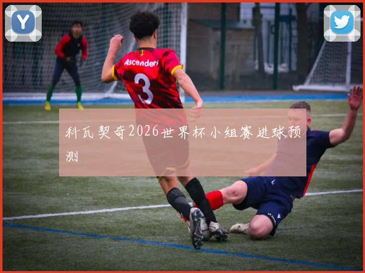 科瓦契奇2026世界杯小组赛进球预测