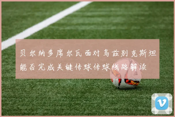贝尔纳多席尔瓦面对乌兹别克斯坦能否完成关键传球传球线路解读