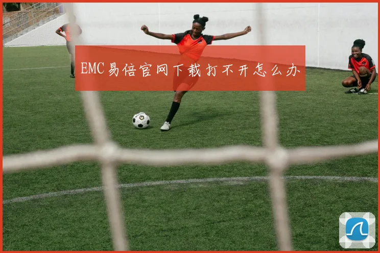 EMC易倍官网下载打不开怎么办