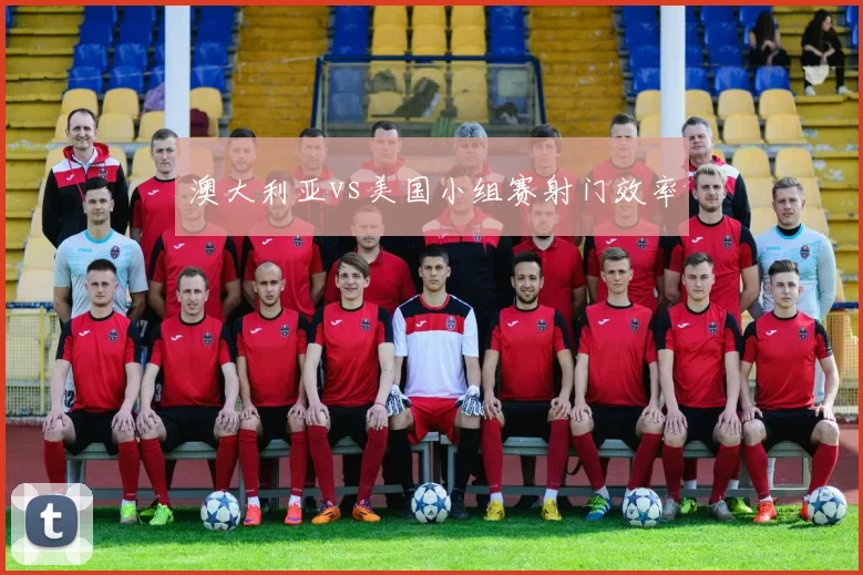 澳大利亚vs美国小组赛射门效率